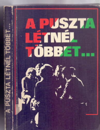 A puszta l�tn�l t�bbet...Az �j Testamentum - Csia Lajos ford�t�sa szerint (Els� kiad�s, 1978)