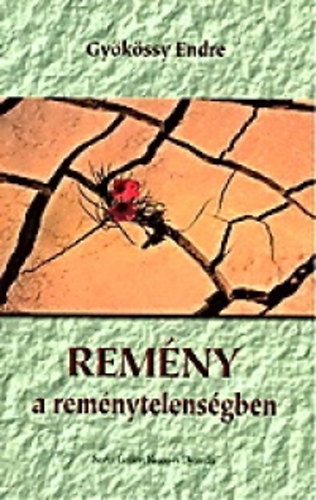 Remny a remnytelensgben