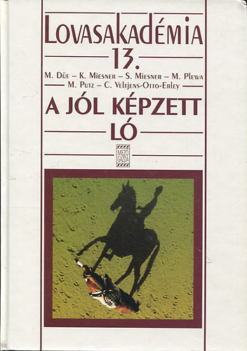 A jl kpzett l (Lovasakadmia 13.)