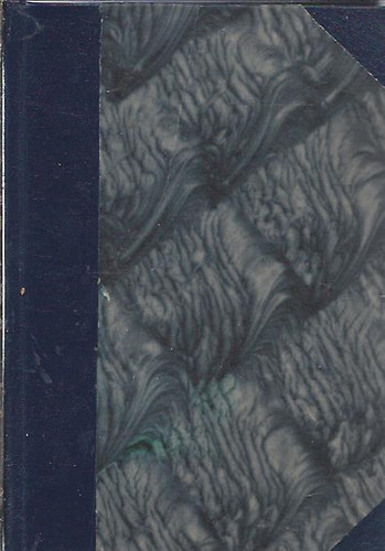 K�tezer�ves v�ros (Ifj�s�gi elbesz�l�sek Budapest multj�b�l)