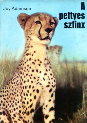 A pettyes szfinx + Shaba kirlynje (2 m)