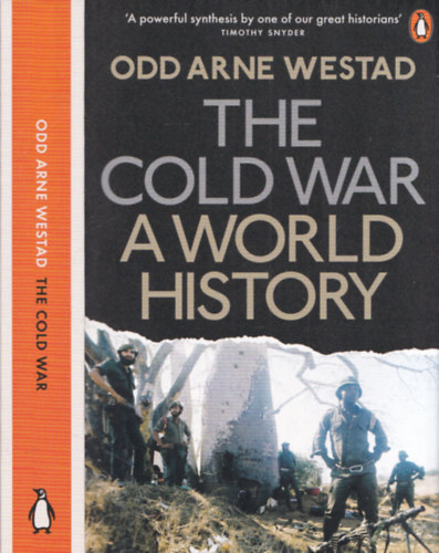The Cold War (A World History)