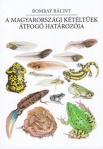 Magyarorsz�gi k�t�lt�ek �tfog� hat�roz�ja