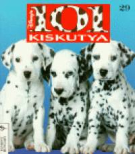 101 kiskutya - Mini 29.