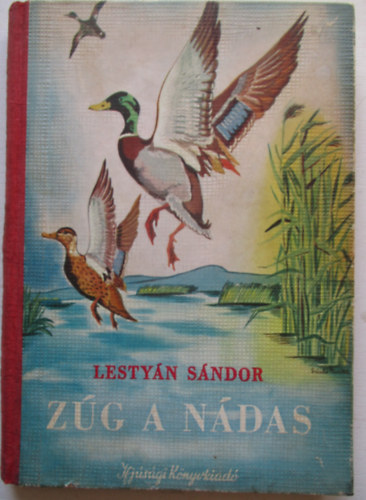 Zg a ndas