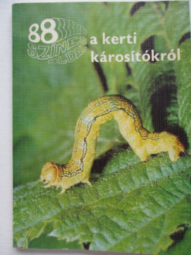 88 sznes oldal a kerti krostkrl