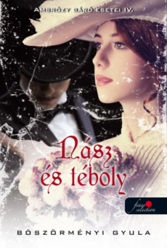 Nsz s tboly - Ambrzy br esetei IV. - puha kts