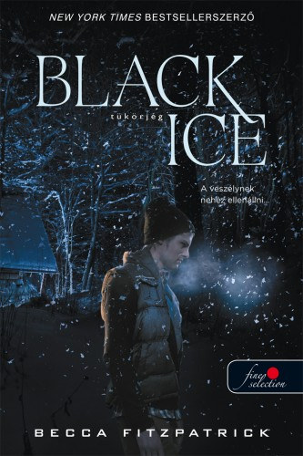 Black Ice - Tkrjg