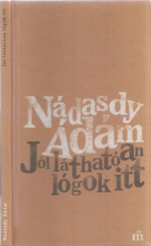 Ndasdy dm - Jl lthatan lgok itt