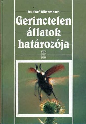 Gerinctelen llatok hatrozja
