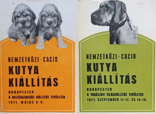 2 db Nemzetkzi CACIB Kutyakillts Budapesten ktet: Nemzetkzi CACIB Kutyakillts Budapesten 1971 mjus 8-9. + Nemzetkzi CACIB Kutyakillts Budapesten 1971. szeptember 11-12. s 18-19.