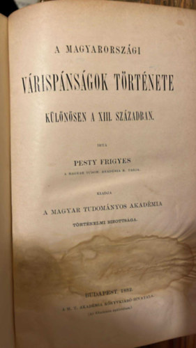 A Magyarorszgi vrispnsgok trtnete klnsen a XIII. szzadban