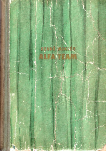 Alfa team (Az amerikai k�l�nleges hadsereg egyik katon�j�nak �letreg�nye)