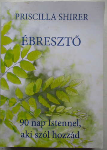 Priscilla Shirer - �breszt� - 90 nap Istennel, aki sz�l hozz�d