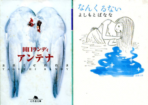 2 db idegen nyelv� (k�nai) k�nyv