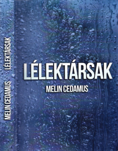 Llektrsak