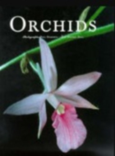 Paul Michel - Orchids