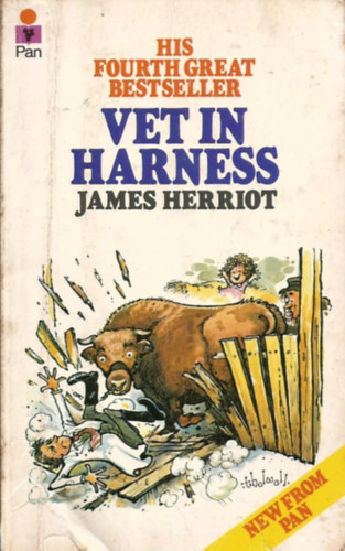Vet in harness