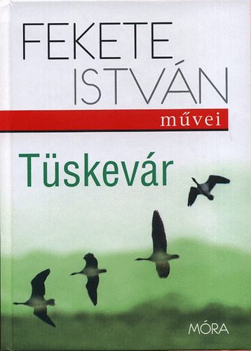 Tskevr