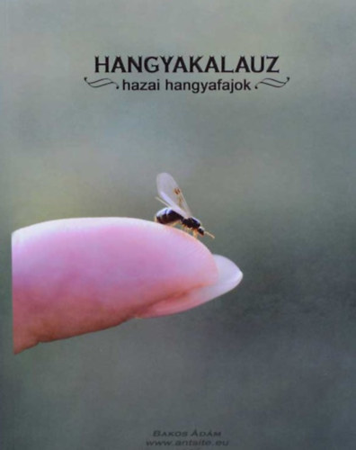 Hangyakalauz