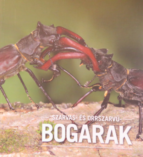 Hangay Gyrgy - Merkl Ott - Szarvas- s orrszarv bogarak
