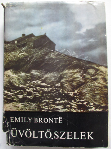 Emily Bront - vlt szelek