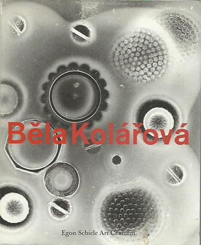 Bla Kolov (Egon Schiele Art Centrum)