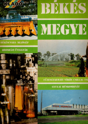 Bks Megye- Reklmjsg 1981/4. szm