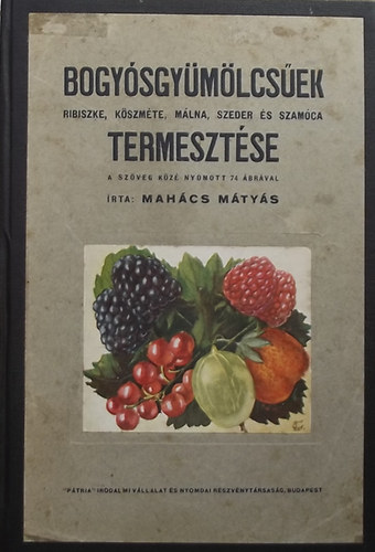 Bogy�sgy�m�lcs�ek termeszt�se (Ribiszke, k�szm�te, m�lna, szeder �s szam�ca)