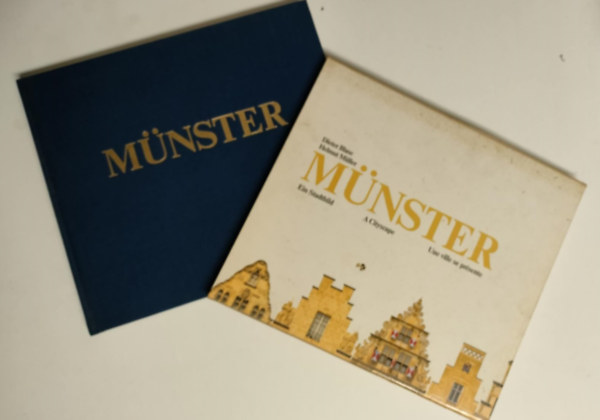 Mnster. Ein Stadtbild