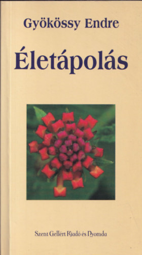 Gykssy Endre - letpols - tdik; jraszedett kiads - Az idegen szavak magyarzatval