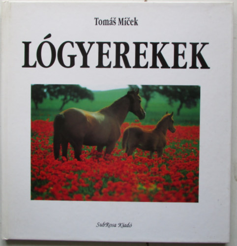 Lgyerekek