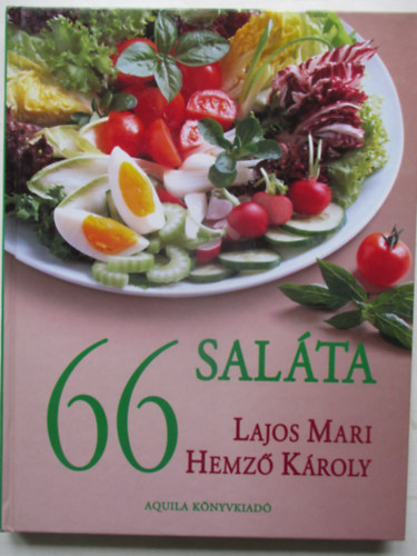 66 salta