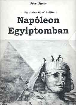 Egy tudomnyos hadjrat: Napleon Egyiptomban