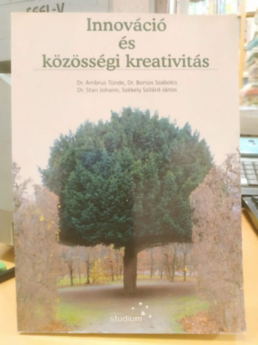 Innov�ci� �s k�z�ss�gi kreativit�s (Editura Studium)