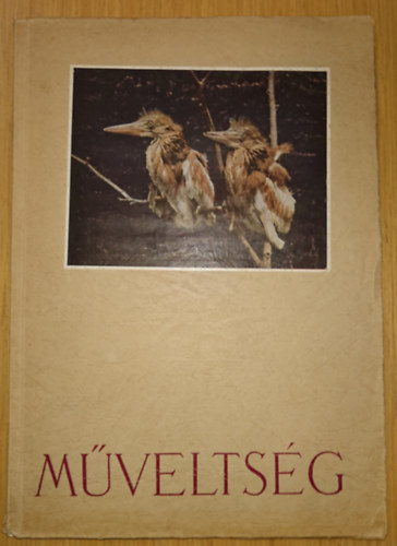 Mveltsg - Kaffka Margit kiadatlan naplja