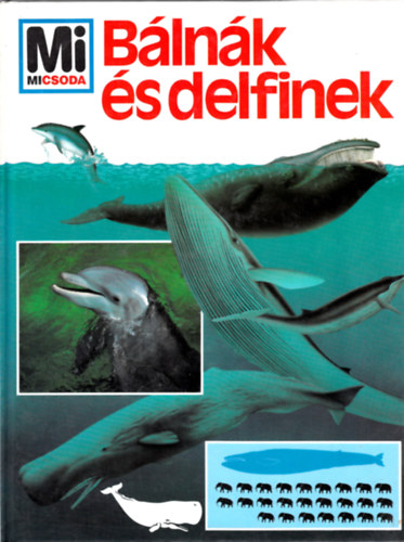 Blnk s delfinek (Mi micsoda)