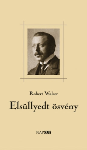Elsllyedt svny
