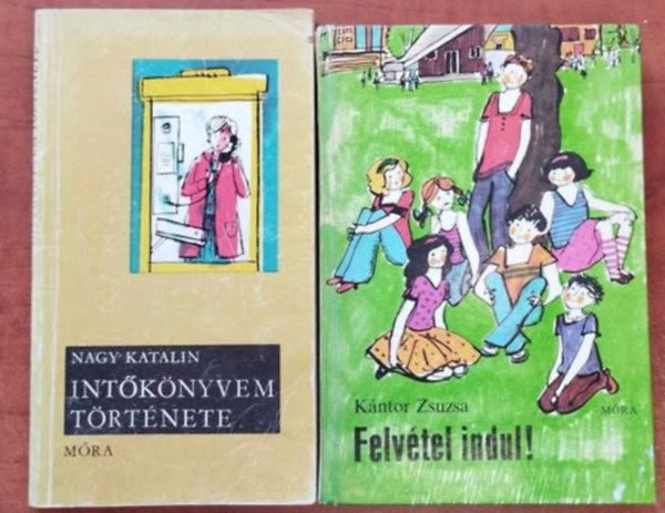 2db Ifjsgi knyv:Intknyvem trtnete,Felvtel indul!
