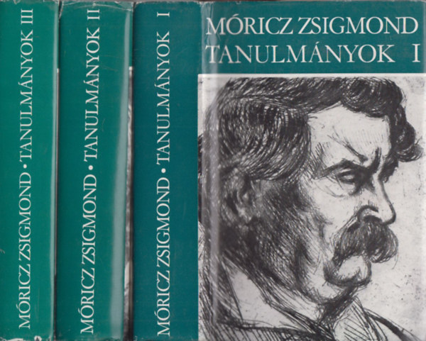 Mricz Zsigmond - Tanulmnyok I-III.