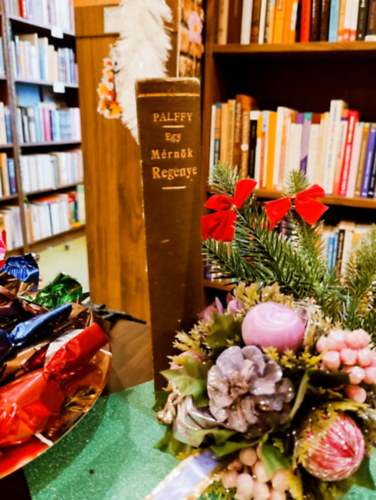 Egy m�rn�k reg�nye. K�t k�tet egyben.