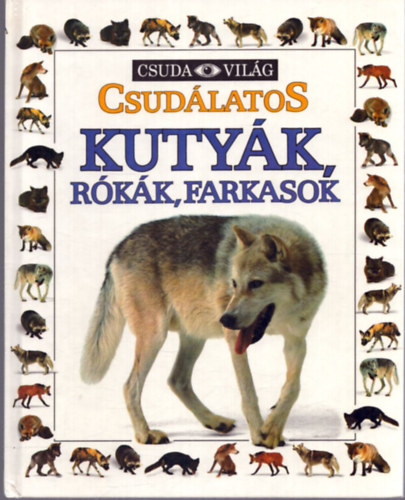 Csudlatos kutyk, rkk, farkasok