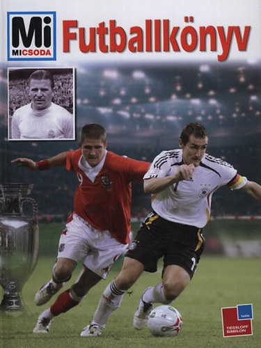 Futballknyv (Mi Micsoda - Uli Knauer illusztrciival)