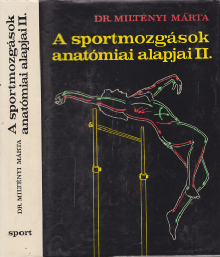 A sportmozg�sok anat�miai alapjai II.