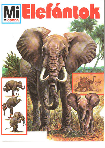 Mi micsoda? 17. - Elef�ntok