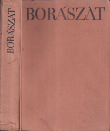 Borszat