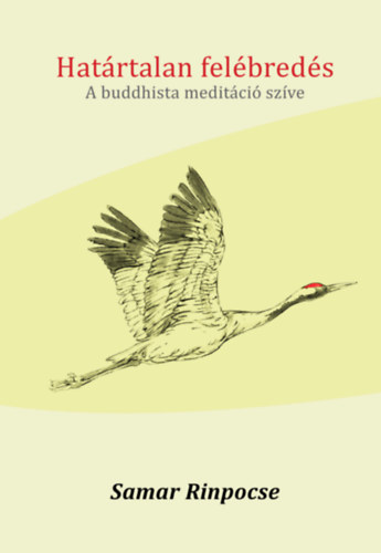 Hat�rtalan fel�bred�s - A buddhista medit�ci� sz�ve