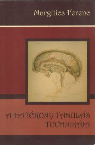 A hat�kony tanul�s technik�ja