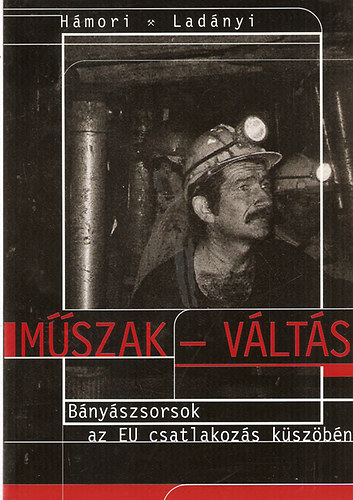 Mszak-vlts (Bnyszsorsok az EU csatlakozs kszbn)