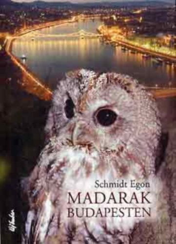 Madarak Budapesten